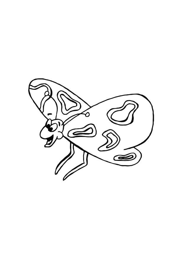 farfalla Disegno da colorare farfalla