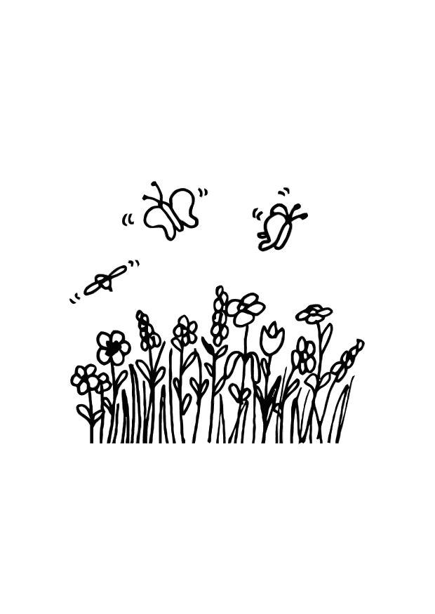 farfalla Disegno da colorare farfalla