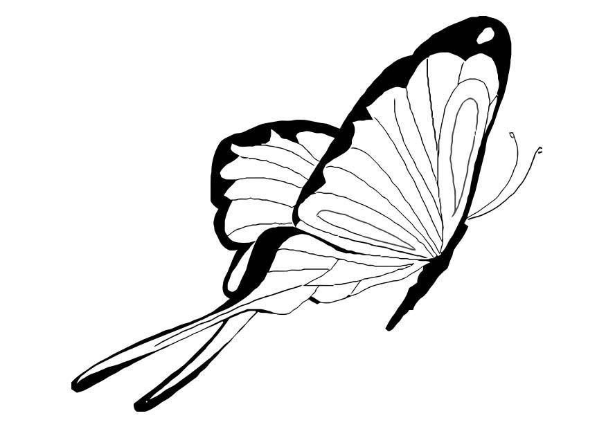 farfalla Disegno da colorare farfalla