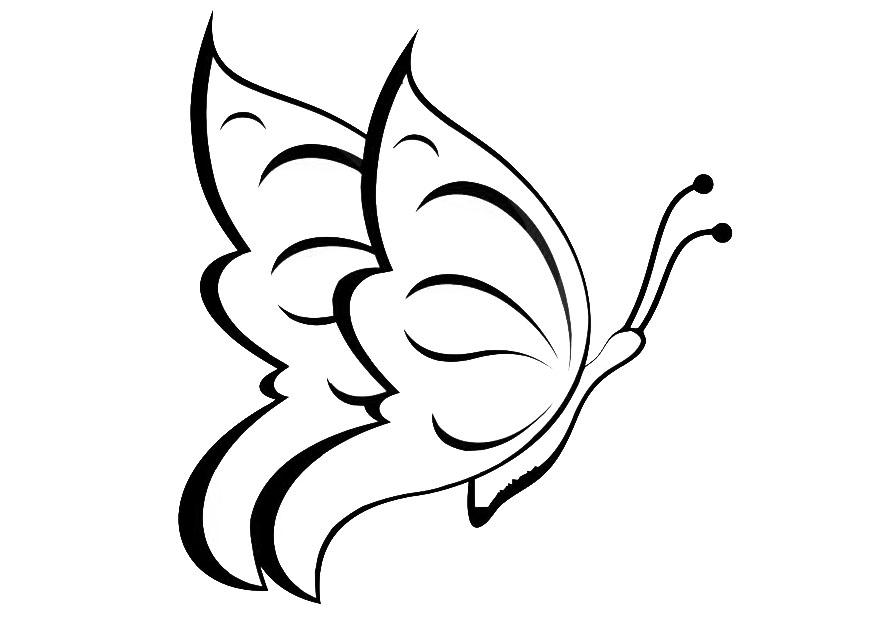 farfalla Disegno da colorare farfalla