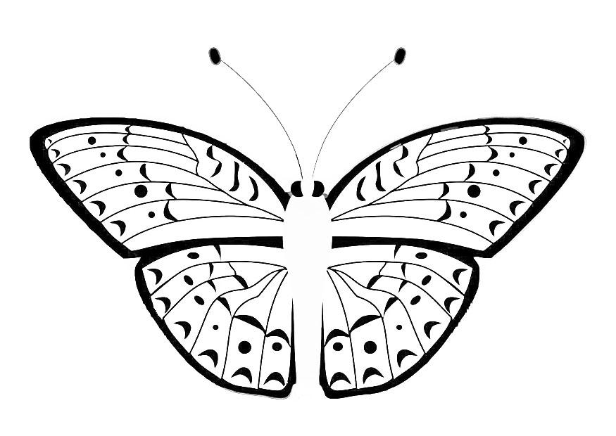 farfalla Disegno da colorare farfalla