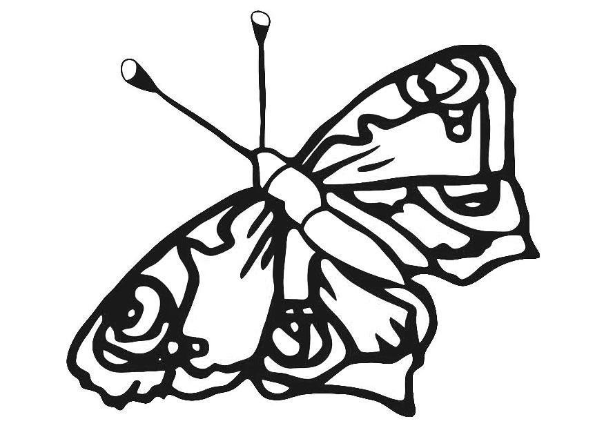 farfalla Disegno da colorare farfalla