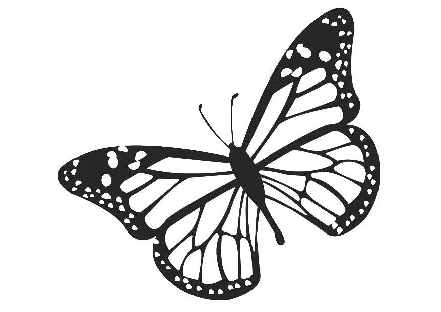 farfalla Disegno da colorare farfalla