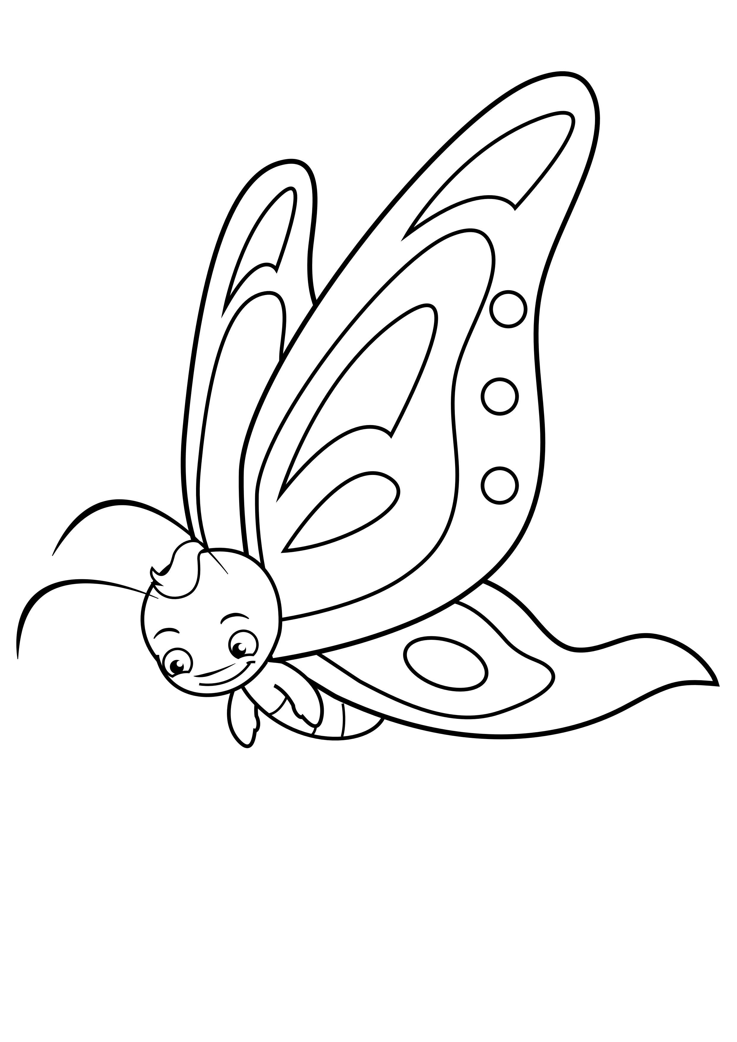 farfalla Disegno da colorare farfalla