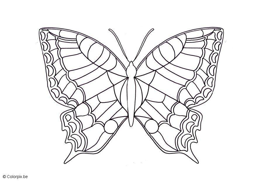 farfalla Disegno da colorare farfalla