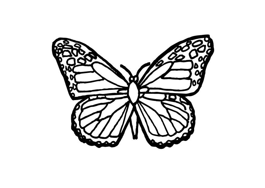 farfalla Disegno da colorare farfalla