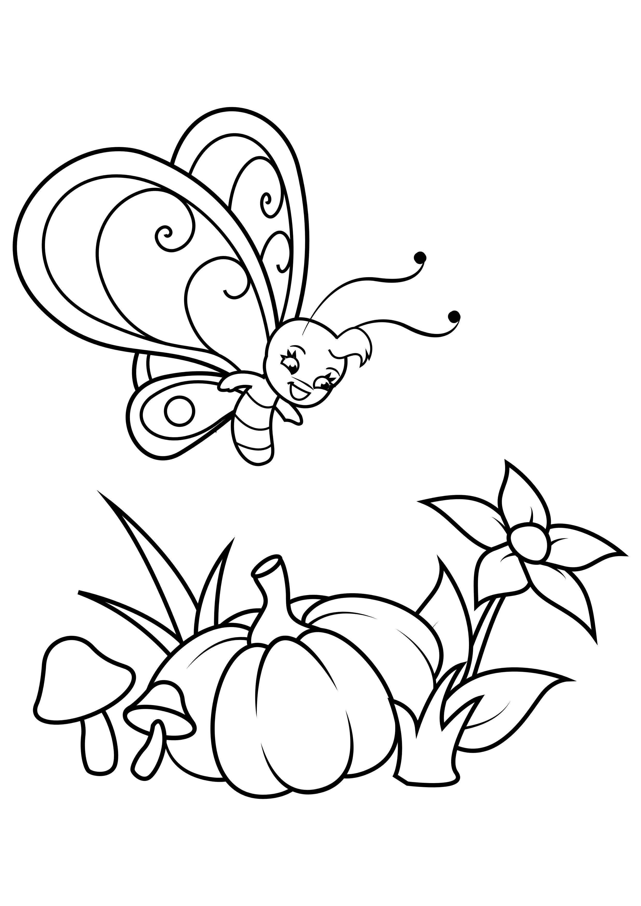 farfalla sopra fiore e zucca Disegno da colorare farfalla sopra fiore e zucca