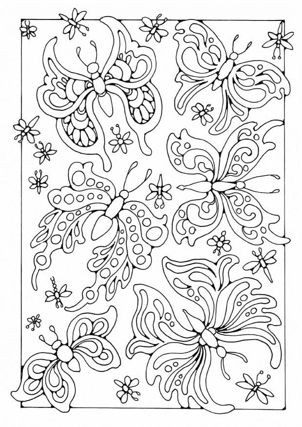 farfalle Disegno da colorare farfalle