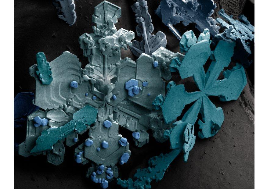 Foto fiocchi di neve sotto il microscopio