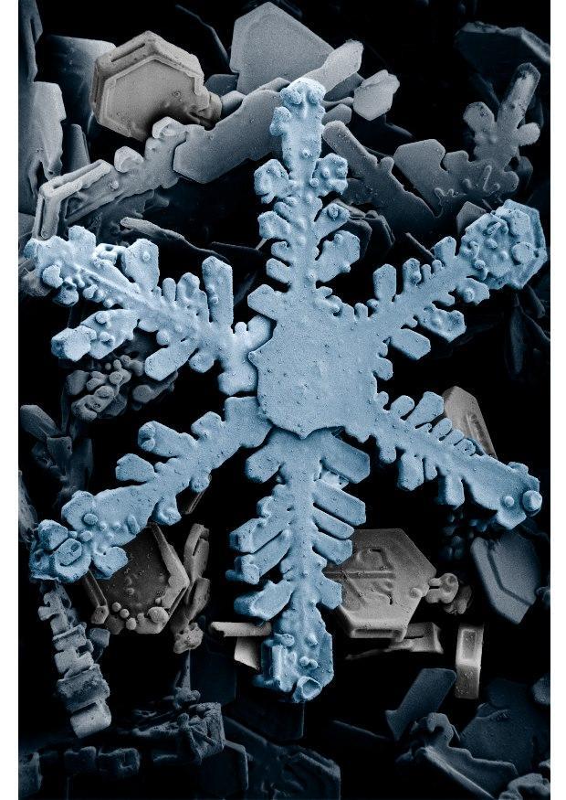fiocco di neve Foto fiocco di neve
