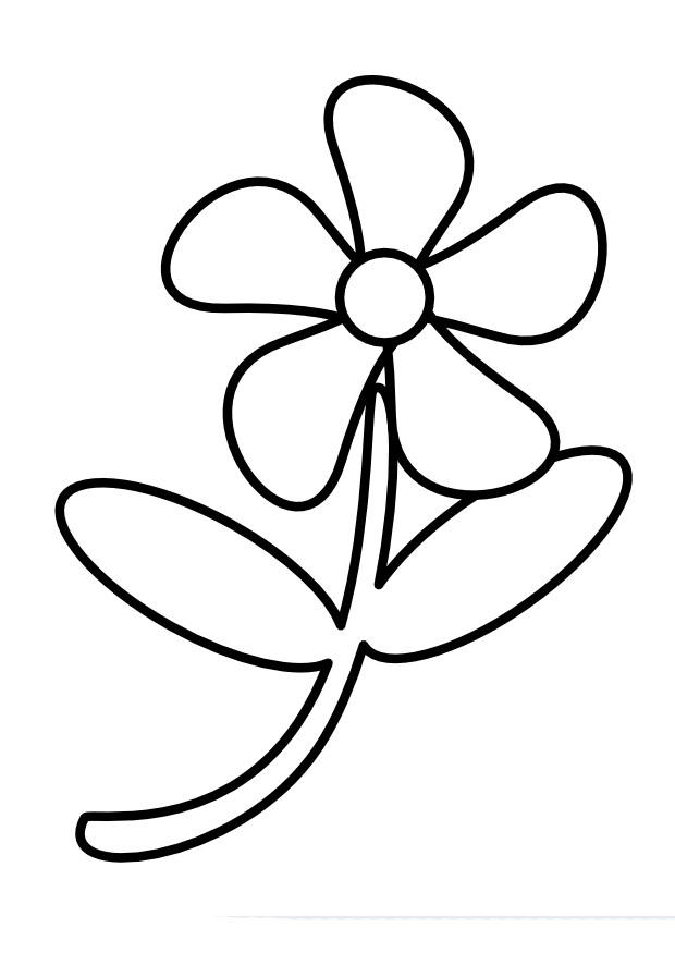 fiore Disegno da colorare fiore
