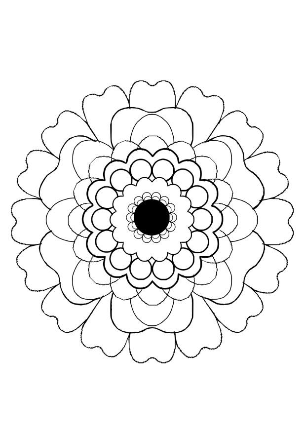 fiore