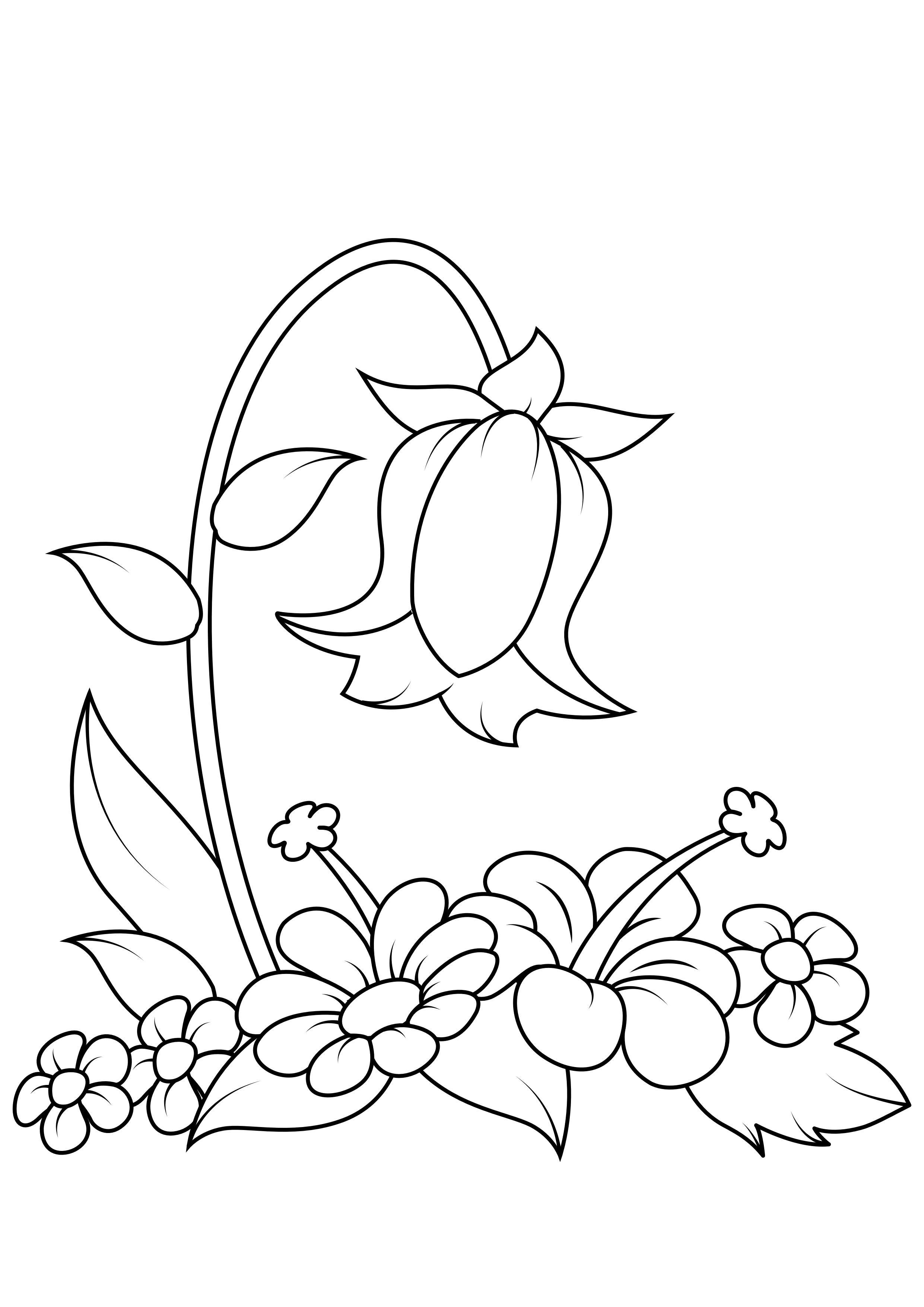 fiore Disegno da colorare fiore