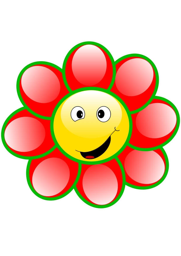 fiore immagine fiore