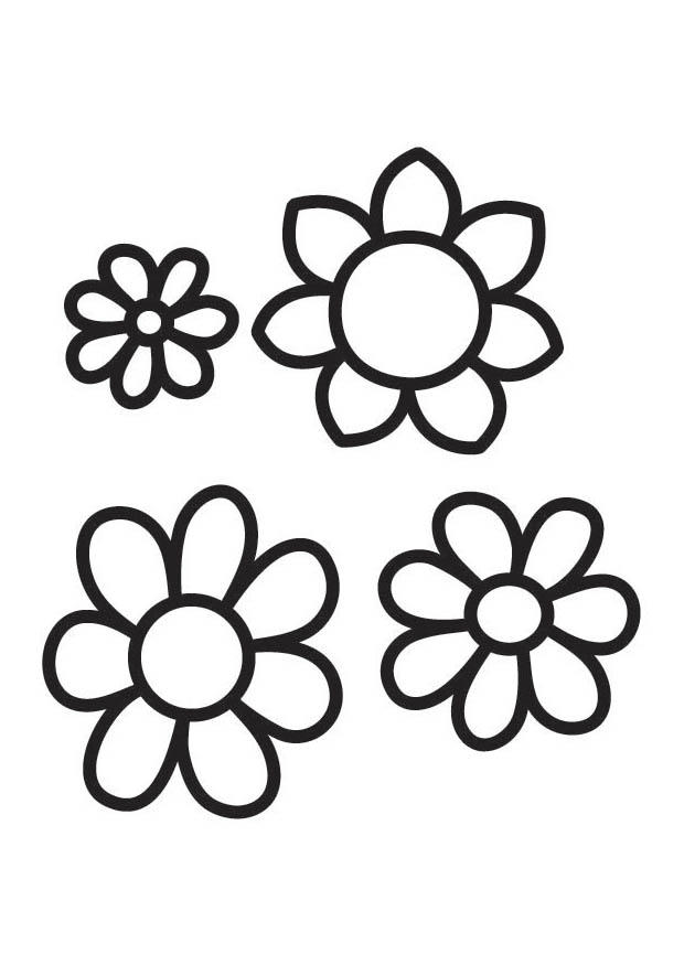 fiori Disegno da colorare fiori