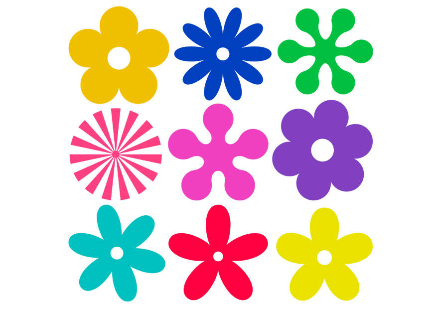fiori immagine fiori