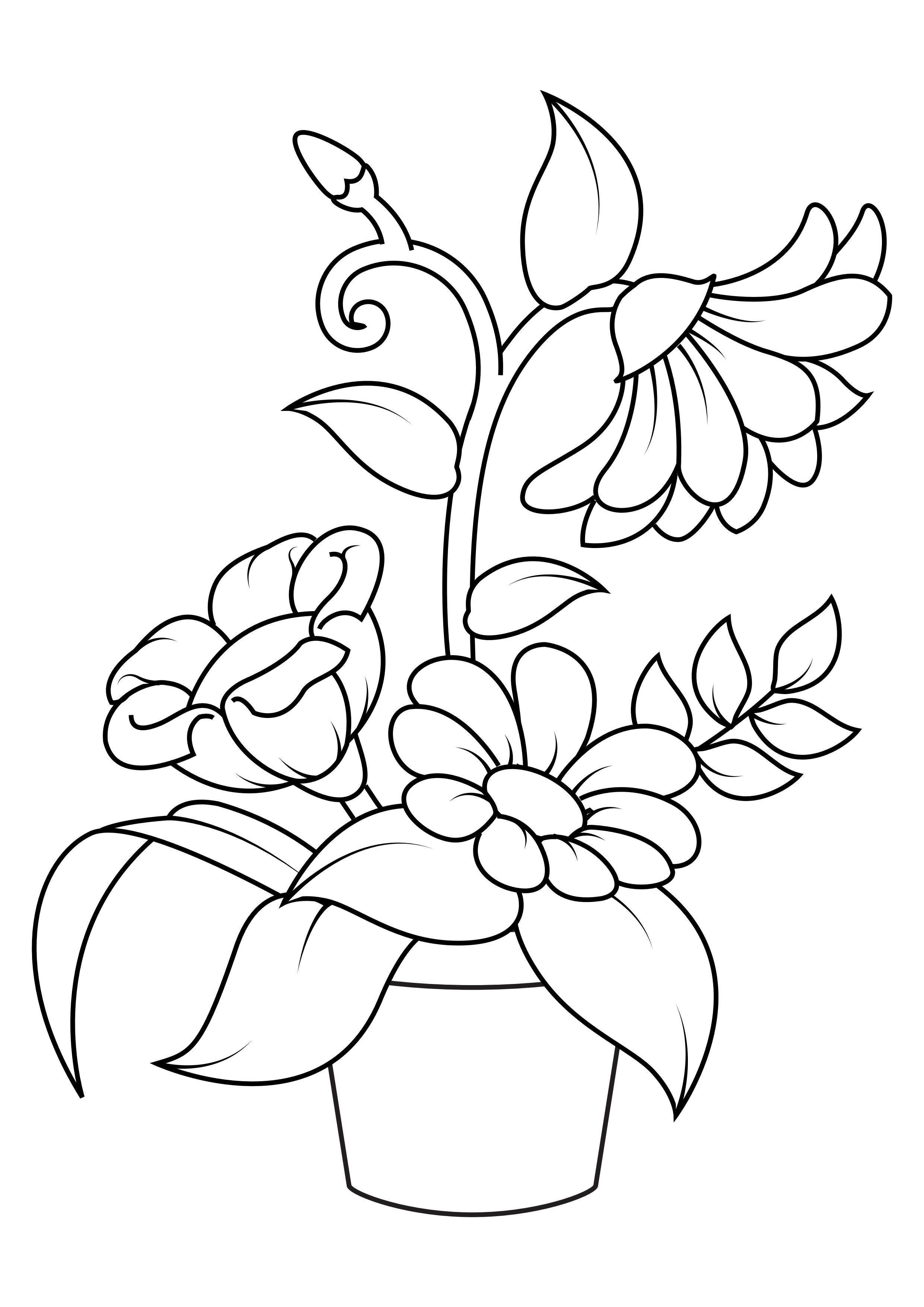 fiori Disegno da colorare fiori
