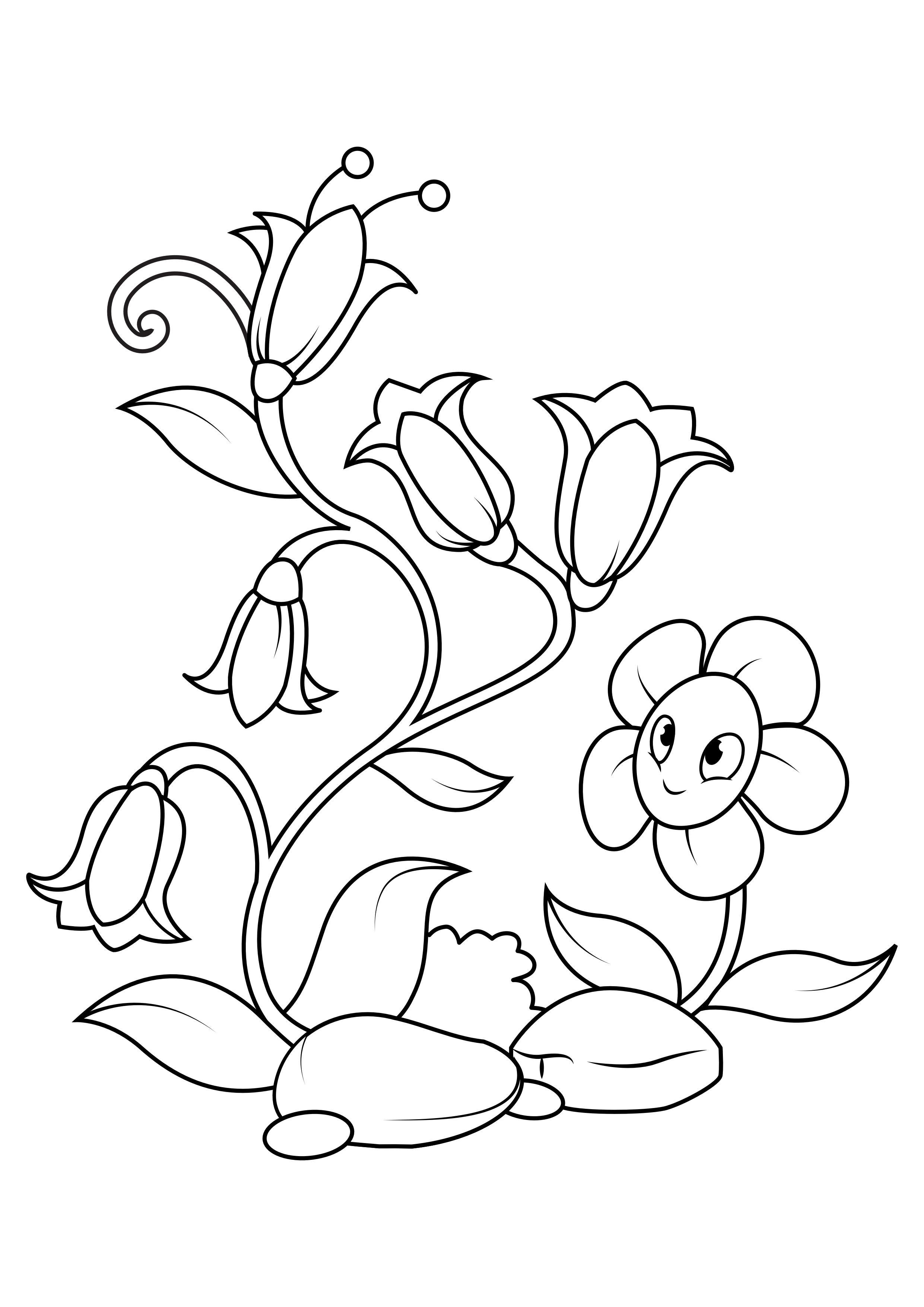 fiori Disegno da colorare fiori