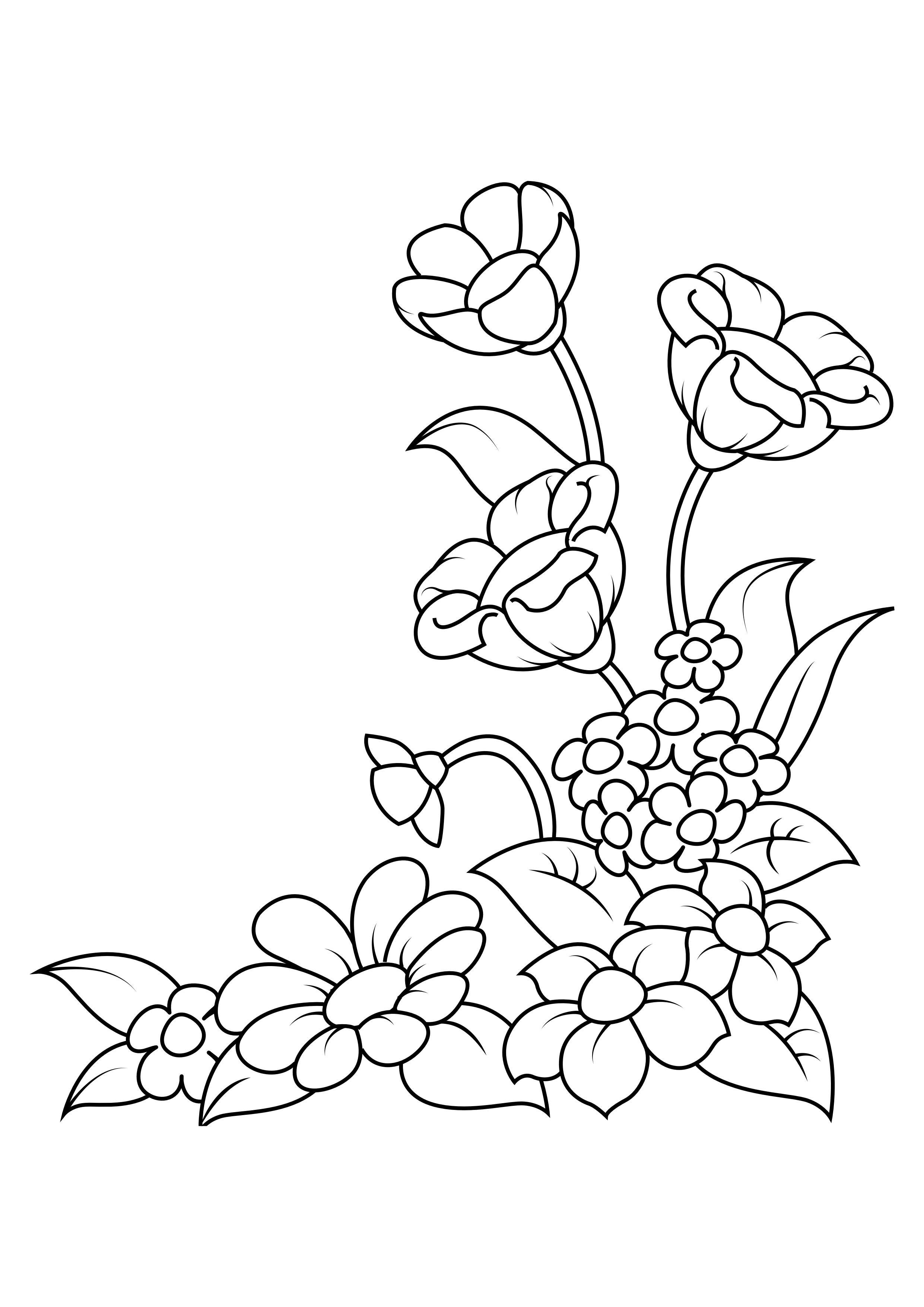 fiori Disegno da colorare fiori