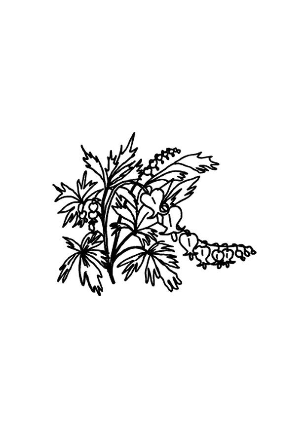 fiori Disegno da colorare fiori