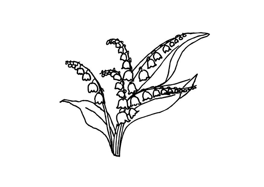 fiori Disegno da colorare fiori