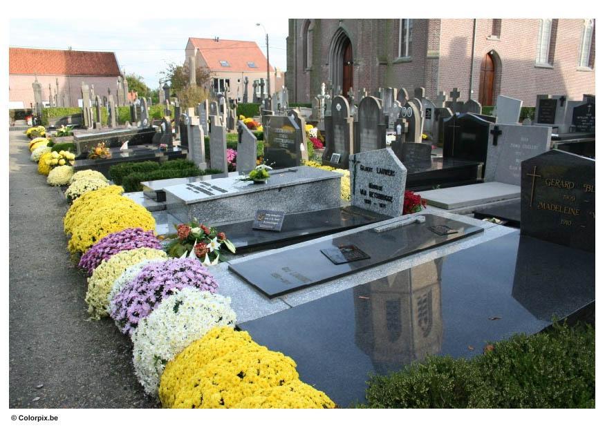 fiori al cimitero Foto fiori al cimitero