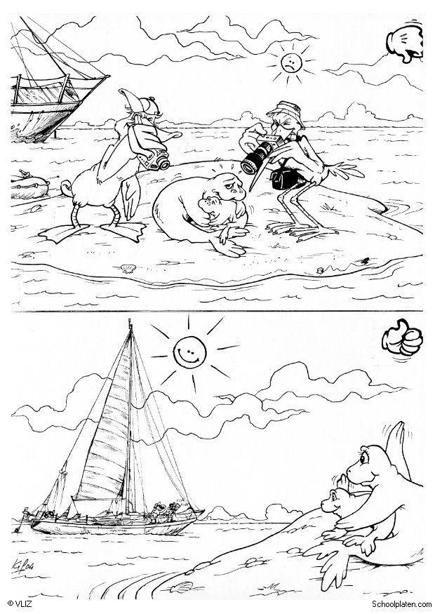foca Disegno da colorare foca