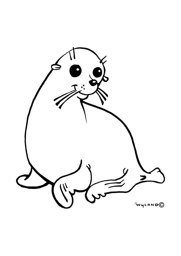 foca Disegno da colorare foca