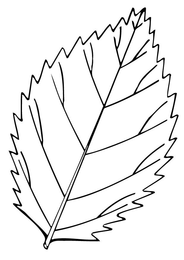 foglia Disegno da colorare foglia
