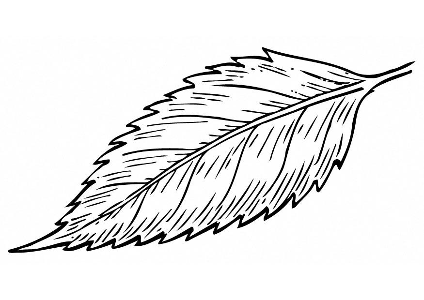 foglia Disegno da colorare foglia