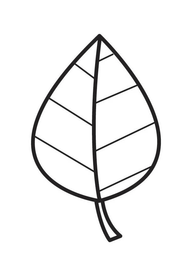 foglia Disegno da colorare foglia