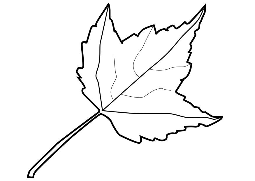 foglia Disegno da colorare foglia