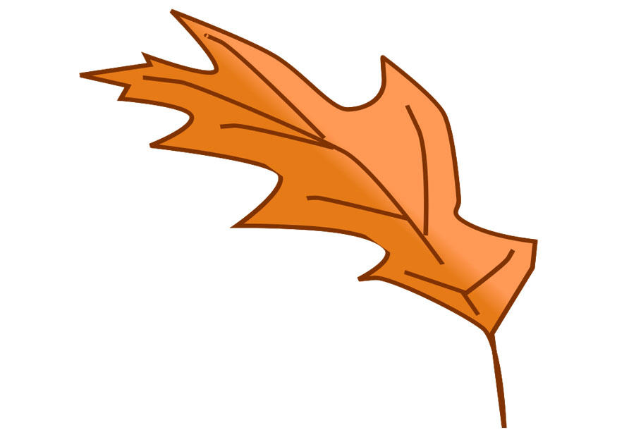 foglia dautunno immagine foglia dautunno