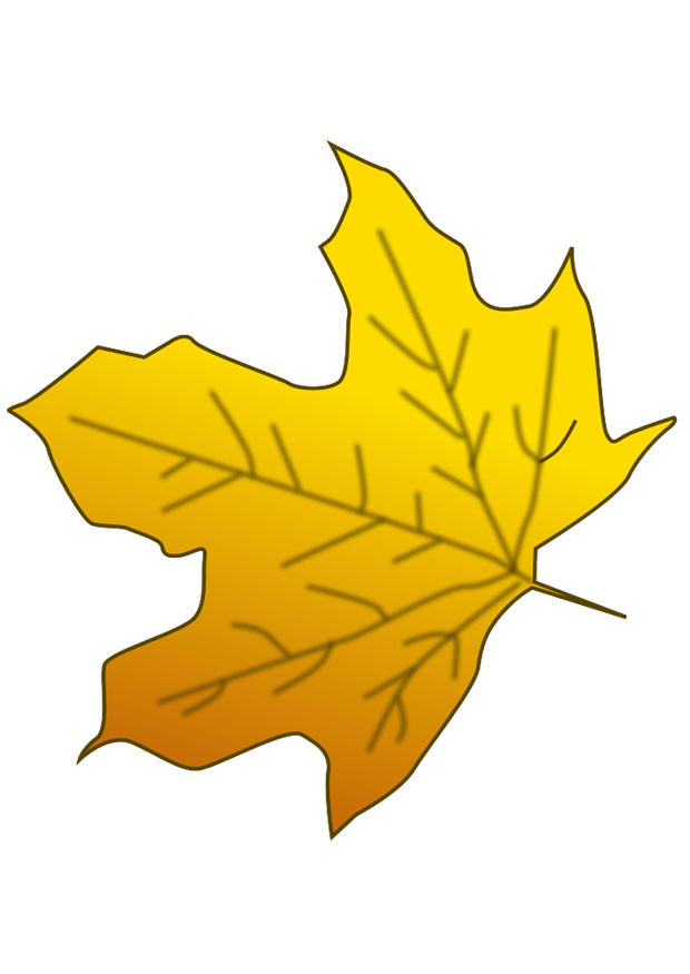 foglia dautunno immagine foglia dautunno