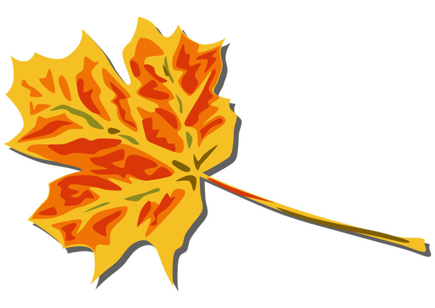 foglia dautunno immagine foglia dautunno