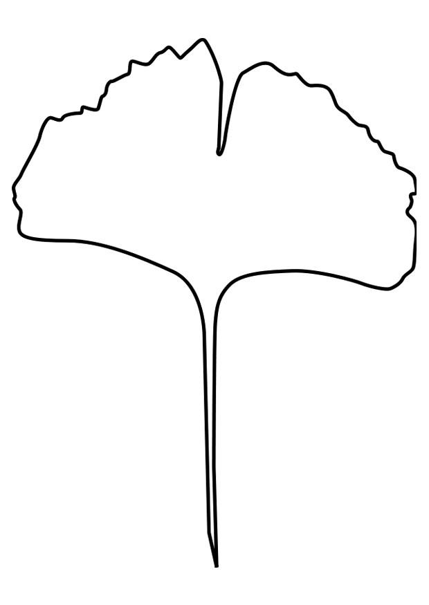 foglia di ginko Disegno da colorare foglia di ginko