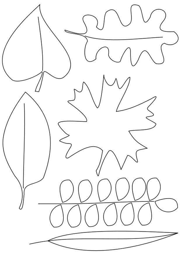 Disegno da colorare foglie