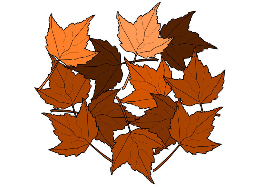 immagine foglie dautunno