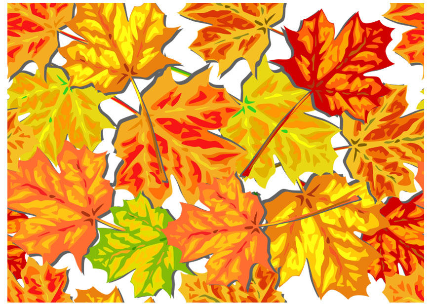 foglie dautunno immagine foglie dautunno
