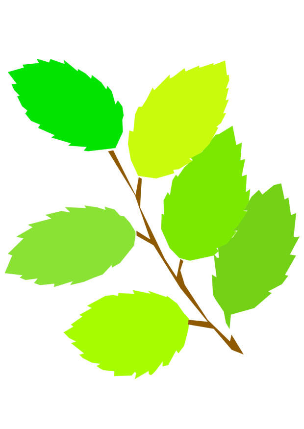 foglie primaverili immagine foglie primaverili