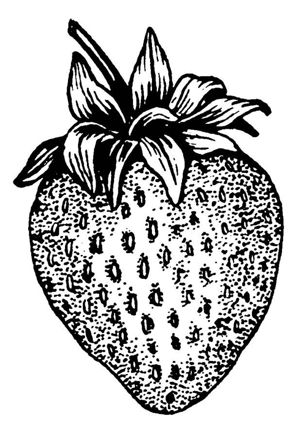 Disegno da colorare fragole