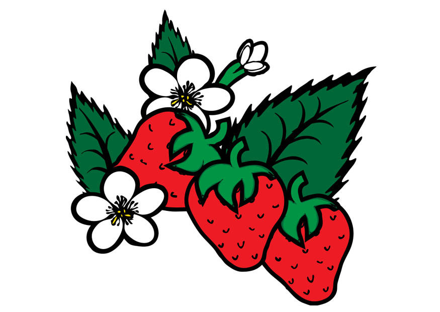 fragole immagine fragole