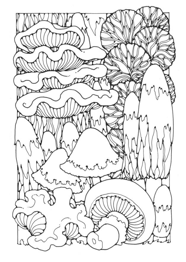 funghi Disegno da colorare funghi