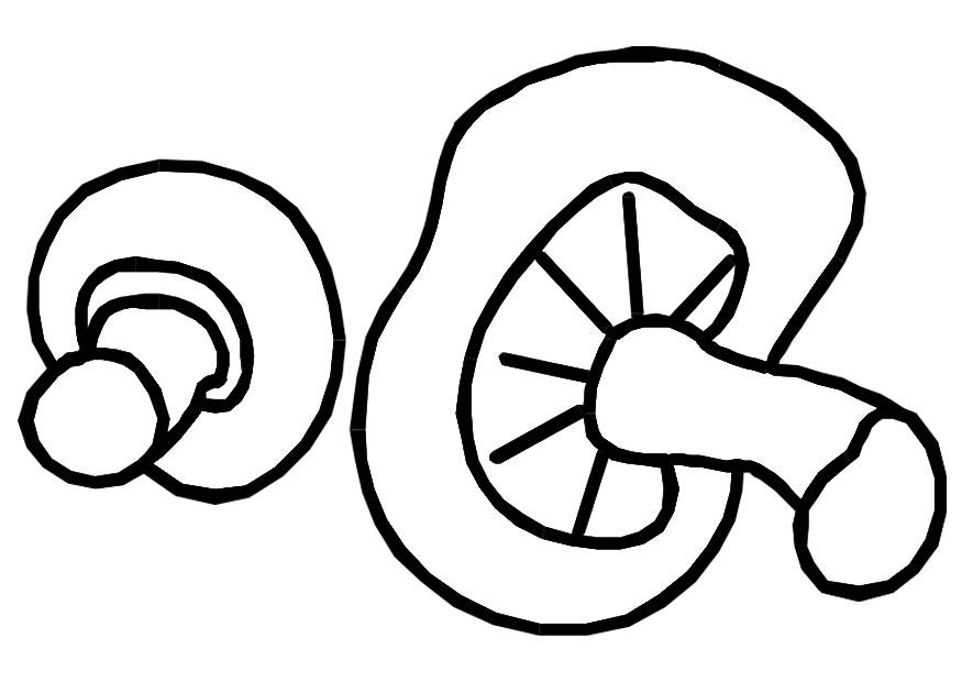 funghi Disegno da colorare funghi