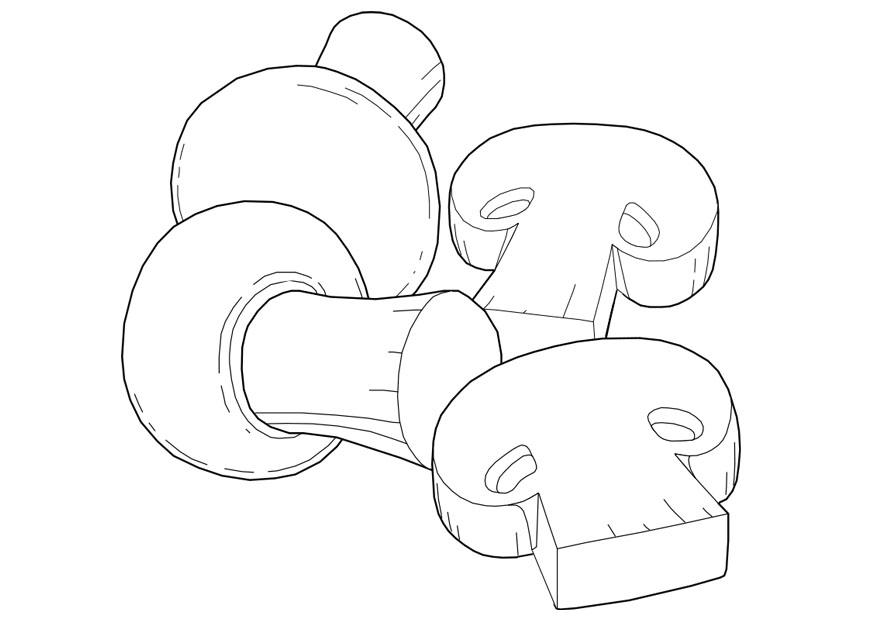 funghi Disegno da colorare funghi
