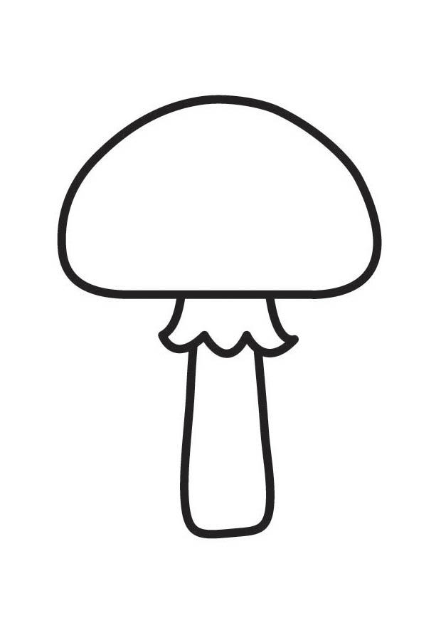 fungo Disegno da colorare fungo