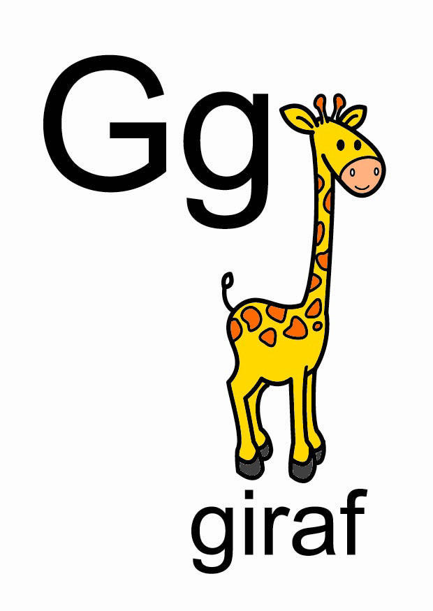 g immagine g