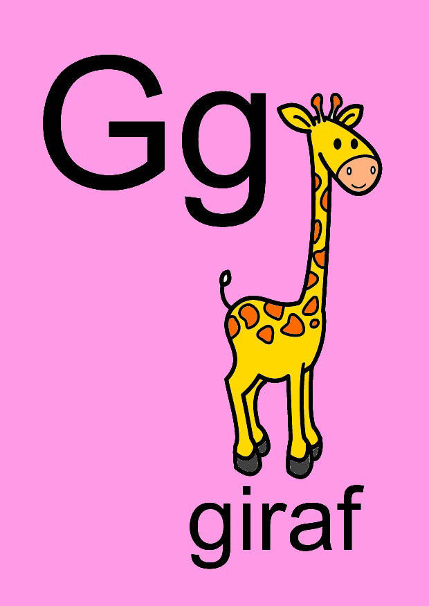 g immagine g