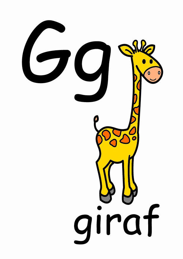 g immagine g