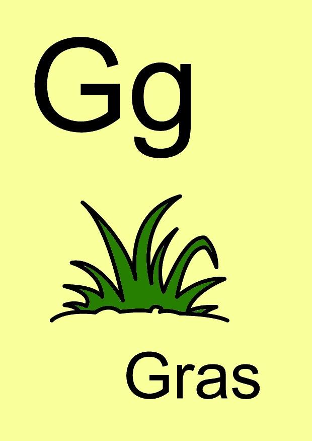 g immagine g